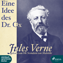 Jules Verne: Eine Idee des Dr. Ox