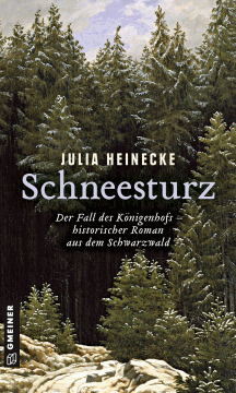 Julia Heinecke: Schneesturz - Der Fall des Königenhofs